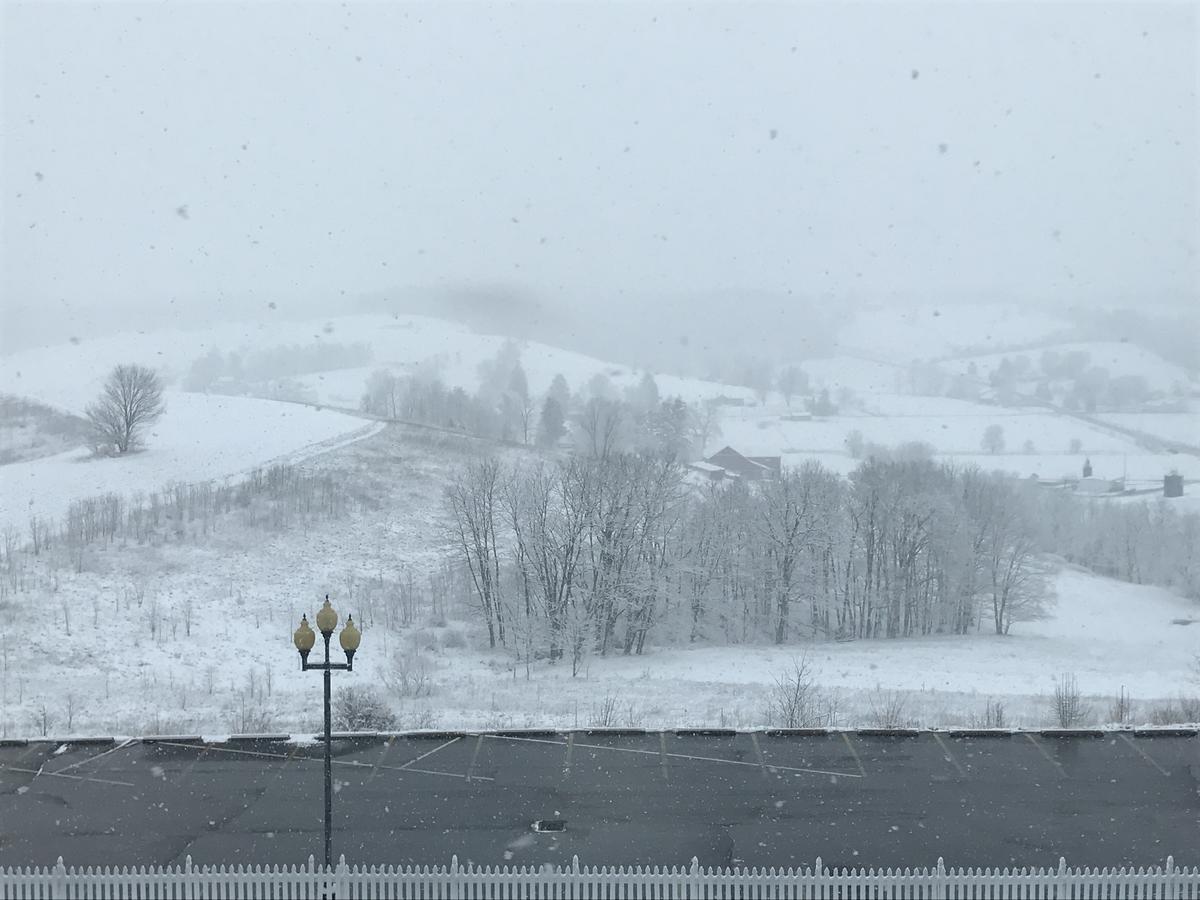 Carlisle Inn Walnut Creek Zewnętrze zdjęcie